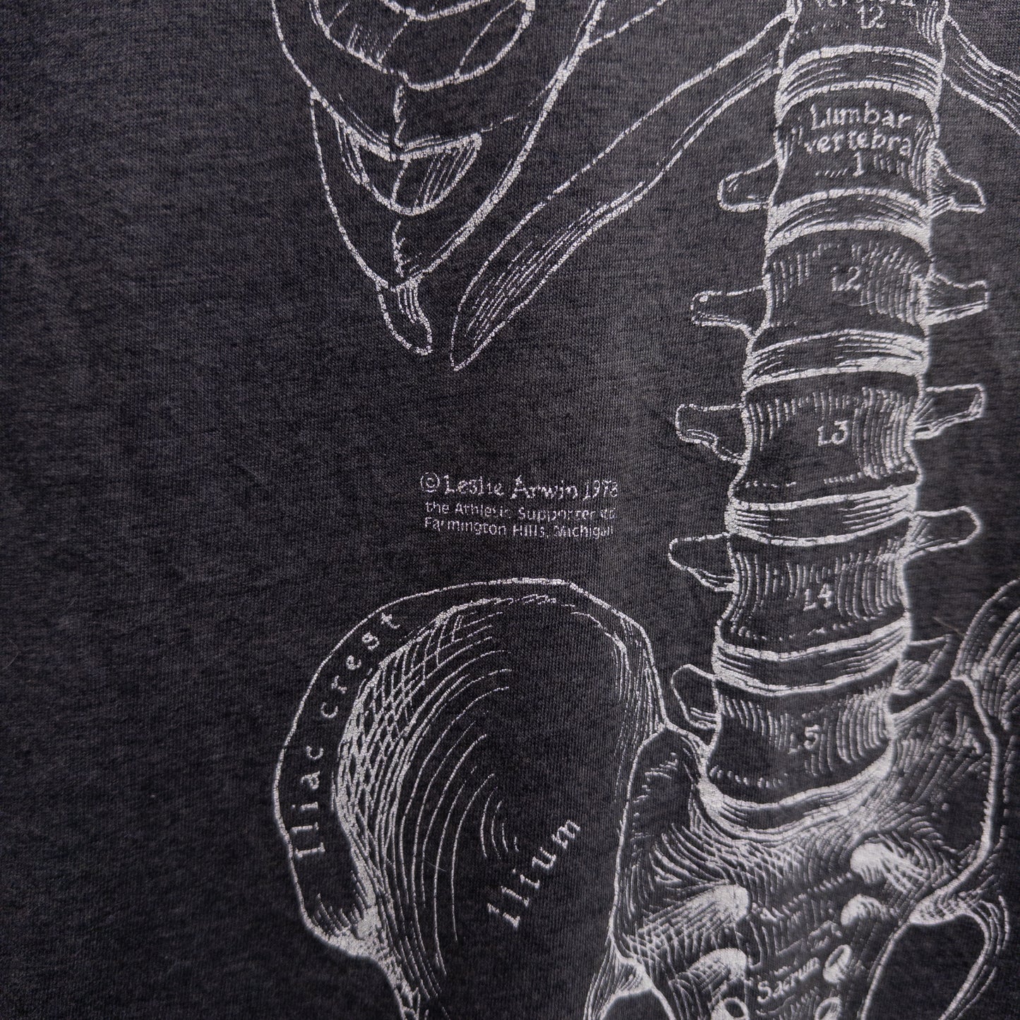Vintage 70s Leslie Arwin Anatomy Art Tee - L