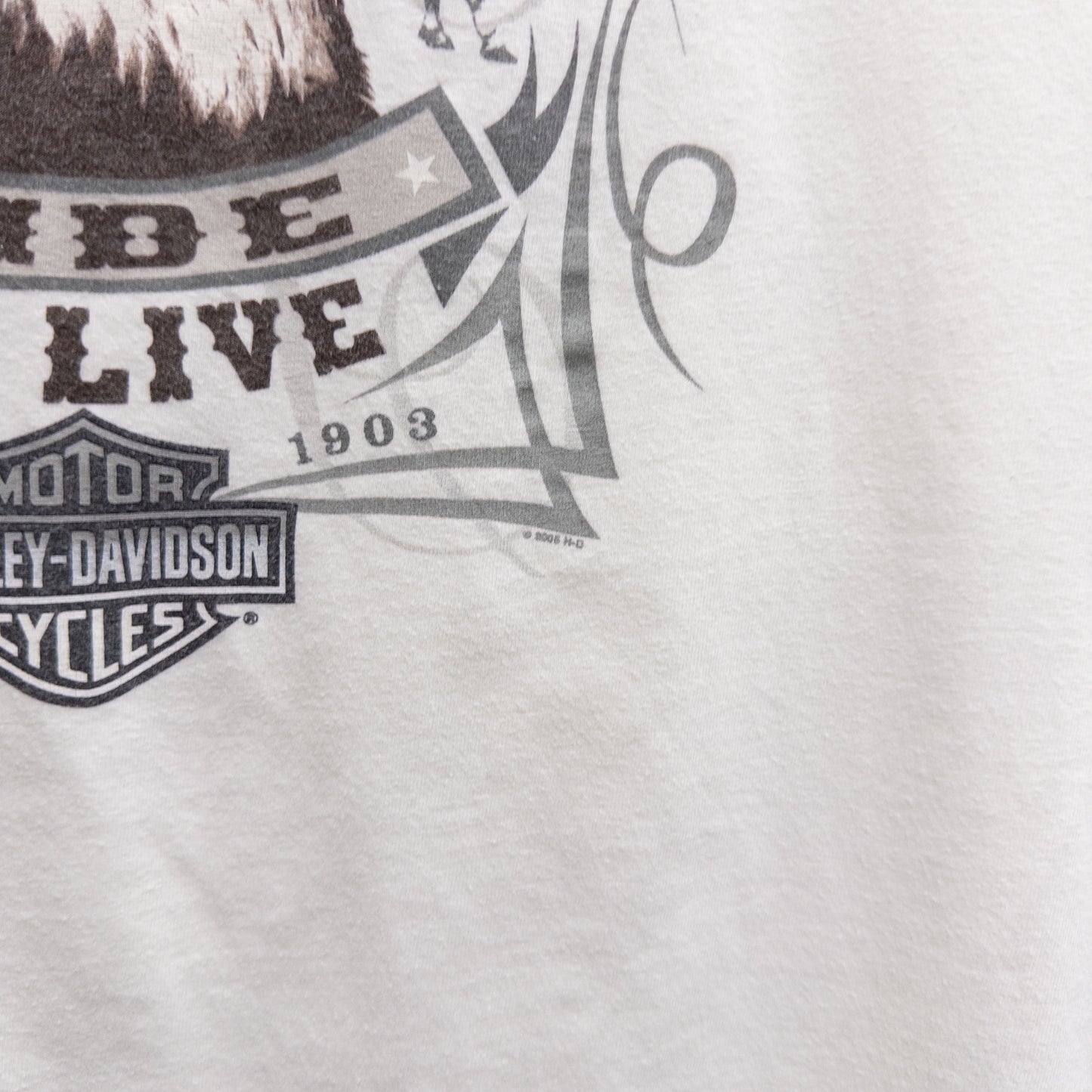 Vintage 2000s Harley Davidson Tee - L