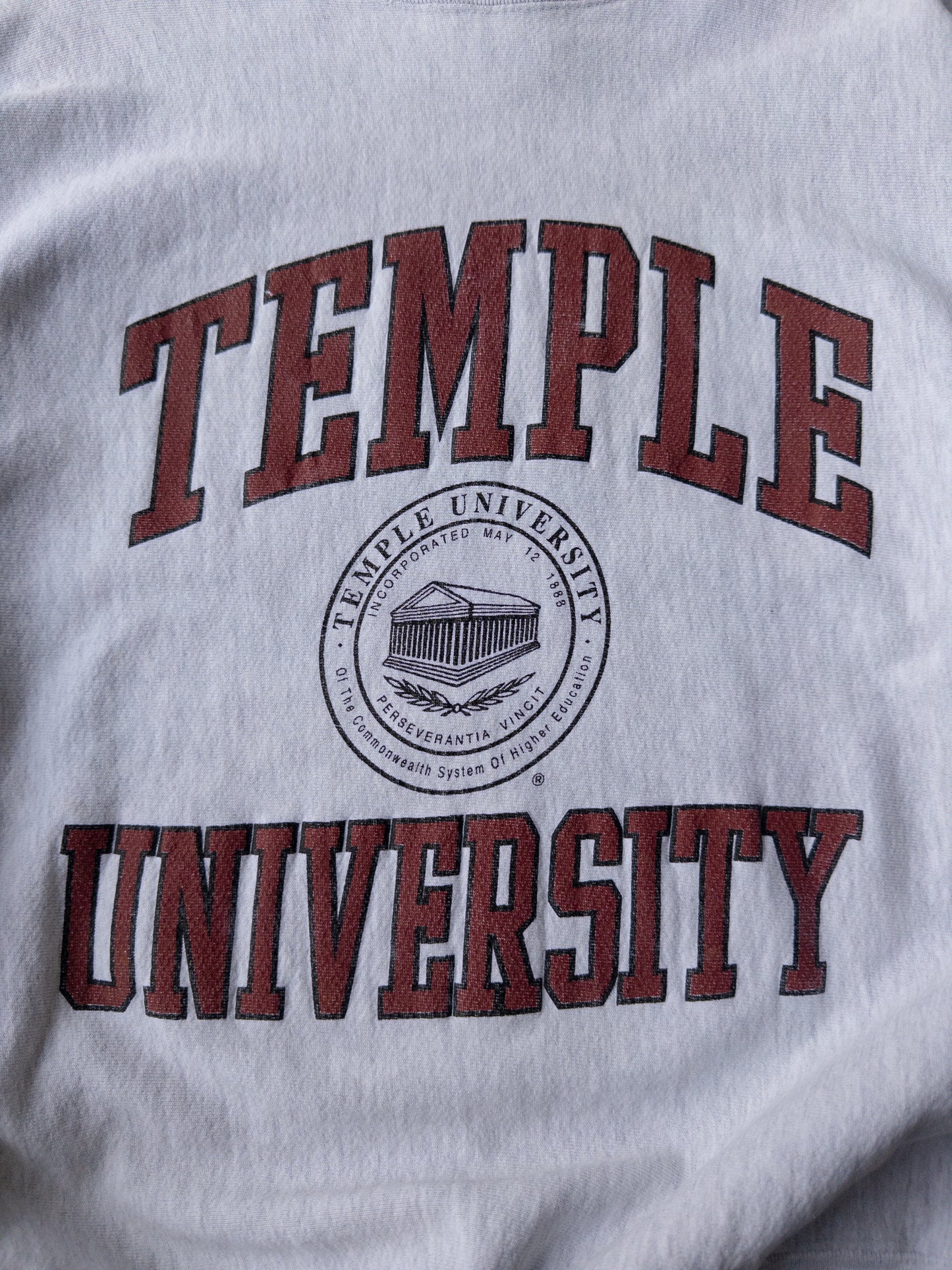 Vintage 90s Temple University Pro Weave - XL