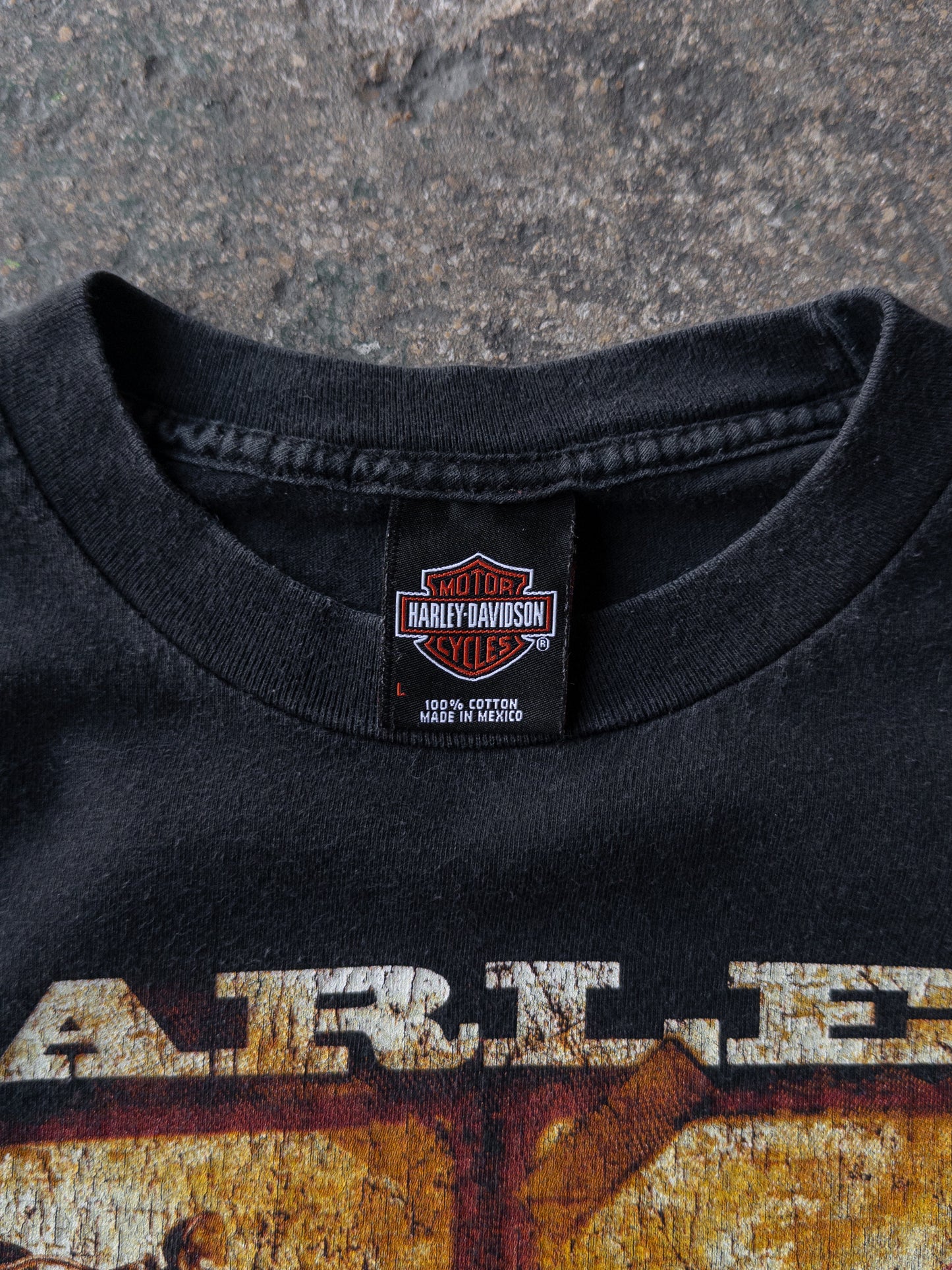 Vintage 2000s Harley Davidson American Classic L/S Tee - Large